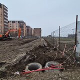 Militari, Ilie Petre, Profi